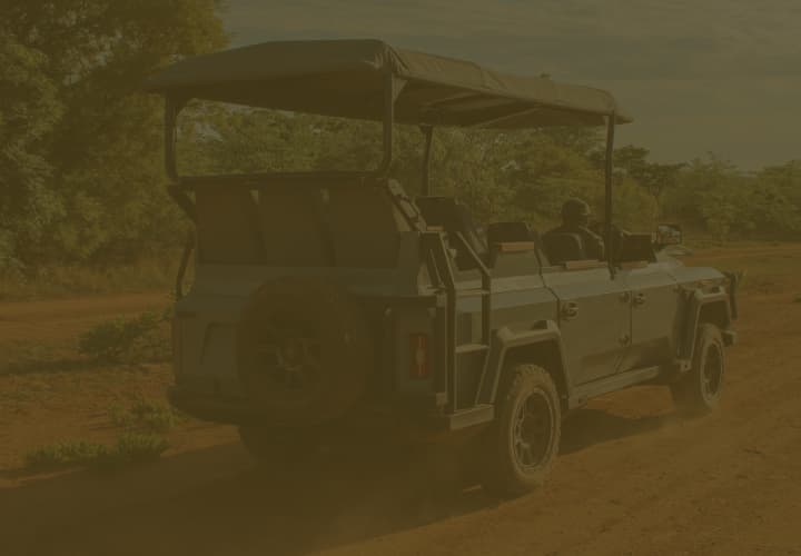 Electric safari vehicle